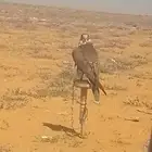 حر من حر للبيع 16ونص طول بعرض