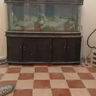 حوض للا الاسماك. على. الخاص. لتواصل