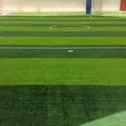 تنسيق حدائق ملاعب