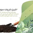 قرين_قروف_سويل يخفف الحجر_البركاني من كثافة