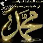 مطلوب شيول