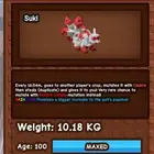 كتسوني احمر رينبو