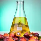 زيت نخيل (تصدير حاويات فقط)