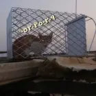 مصيدة بساس