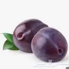 شتلات بخاره 20 ريال