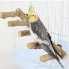 3 طيور كران مفقوده