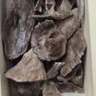 عود هندي فاخر