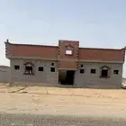 عماره عظم