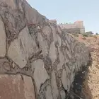 شيول بكلين حلباء الخضراء السهوه ال نشوان ال عليان