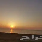 ارض شارعين ب 110 الف فقط