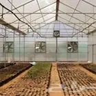 مكة المكرمة