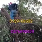 قليل نحل تنظيف نخل وشنتن تكريب النظافه