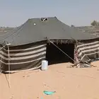 خيمة بيت شعر للبيع 5   7