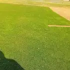 ثيل طبيعي