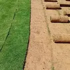 ثيل طبيعي سي 2000