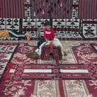 تاجير خيام تأجير بيوت شعر جميع لاوزم الحفلات والمزدات ومزاين