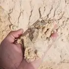 رمل مباني رمل مساح