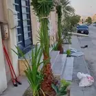 أبو ندا لتنسق حدائق