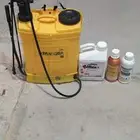 شركة مكافحة حشرات ورش مبيد بالدمام