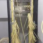شغل كاميرات مراقبة شبكة الإنترنت سلك