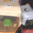 موصل طيور موصل حيوانات اليفه