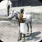 مطلوب سايس خيل