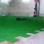 أبو عمر
