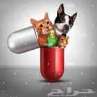 عياده القطط المتنقله