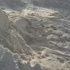 بطحاء الرياض بيضاء