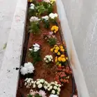 ابو عبدالله لتنسيق الحدائق