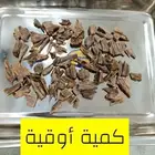 عود موري هندي طبيعي