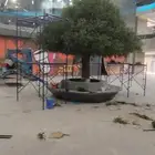 زيتون صناعي