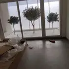 اشجار زيتون صناعي