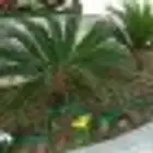 شبكات رى اتوماتيك للحداءق والملاعب