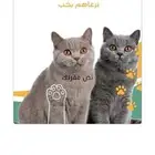 تعقيم وتطعيمات القطط