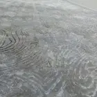 موقعنا فى بيشه