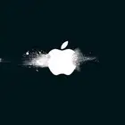 استخراج وثيقة عمل حر