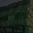 ماشاءالل  رودس