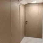 شيبورد