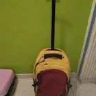 شنطة كات استعمال بسيط