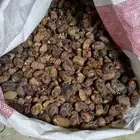 تمر علف
