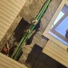موسسة محمد يوسف الاسماعيل للمقاولات العامة