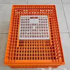شبك دجاج أو حمام