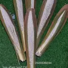 اجود انوع القاح للنخيل