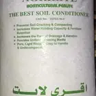عرض اليوم الوطني وسط زراعي متكامل مع شجرتين