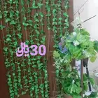 أغراض زينه