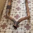 هدرز تويجري