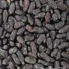 عجوة - صفاوي