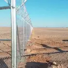 شبوك مخيمات شبوك مزارع