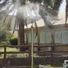 ضباب ورذاذ